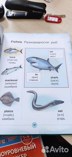 Англо-русский визуальный словарь