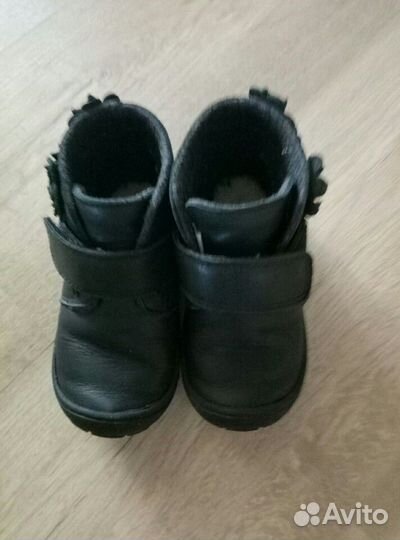 Полусапожки ugg