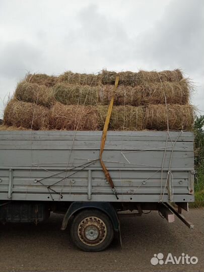 Сено в мини рулонах