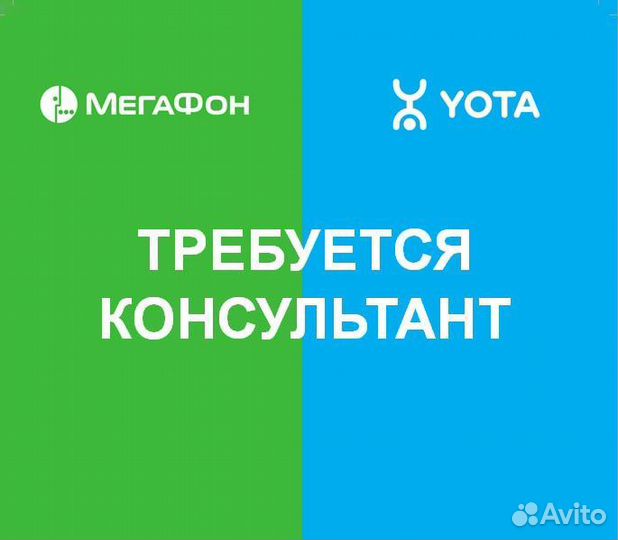 Продавец консультант ТЦ Находка-Мега