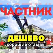 Спил деревьев любой сложности