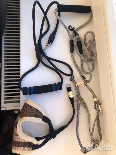 Шлейки для кошек и мелких пород собак