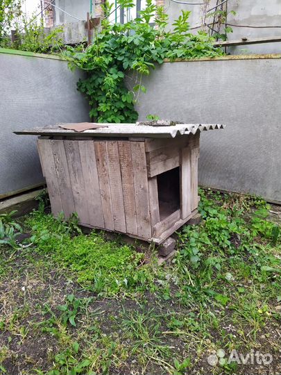 Будка для собаки