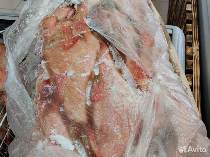 Доставка рыбы