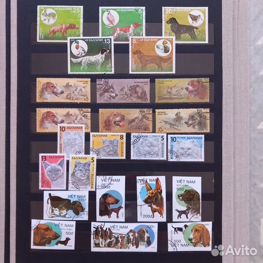 Почтовые марки кошки, собаки