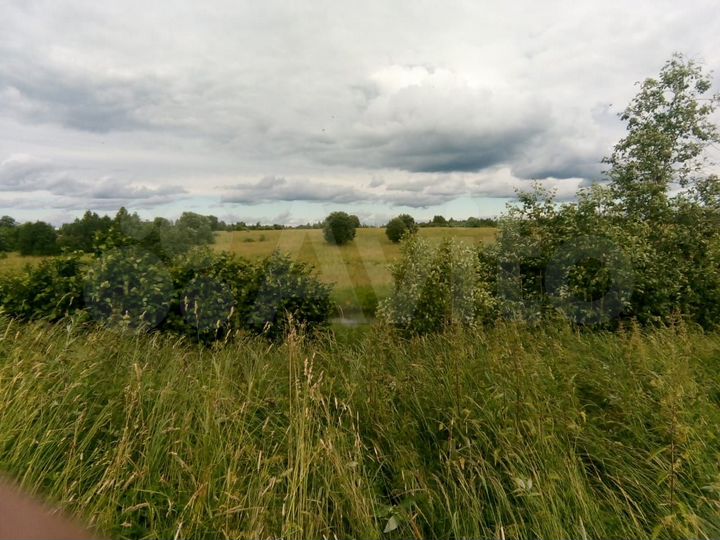 Участок 50 га (СНТ, ДНП)