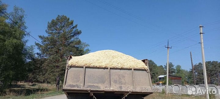 Услуги самосвала