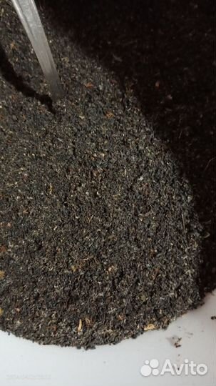 Пжвм-поживёМ