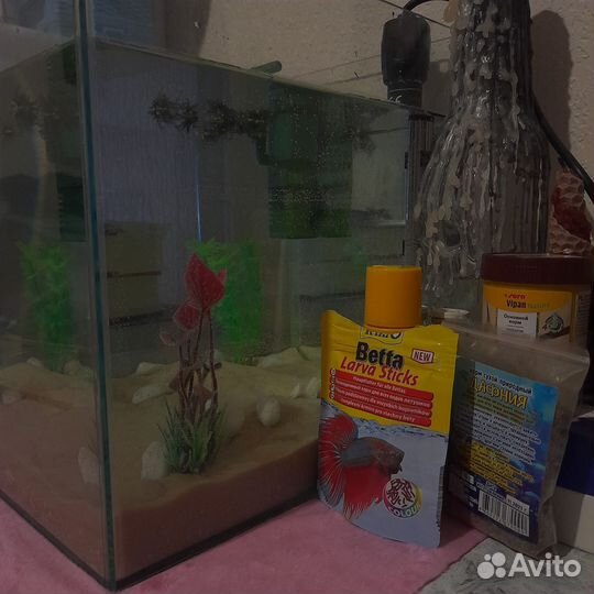 Аквариумные рыбки