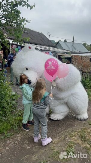 Белый мишка поздравление