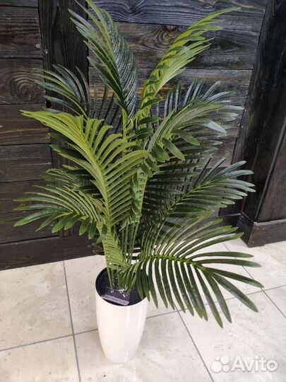Пальма искусственная Ховея Кентия