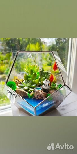 Геометрический флорариум