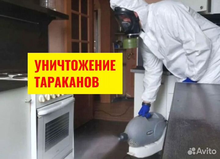 Уничтожение клопов, Травля тараканов, Дезинфекция