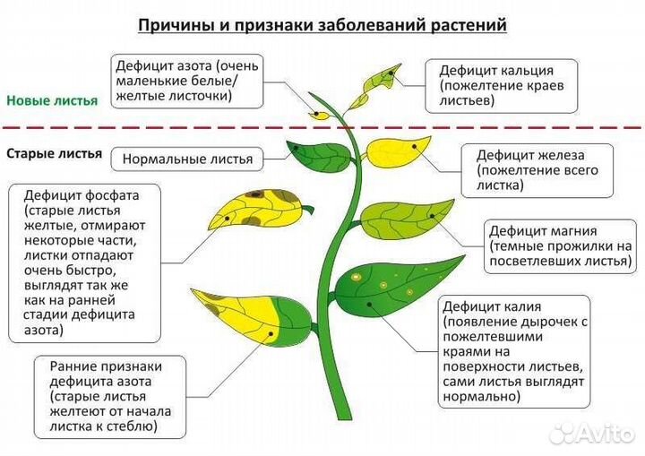 Удобрения для аквариумных растений