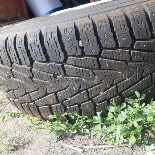 R17 Nordman WR SUV 265/65, PCD 5x112 DIA 66.6