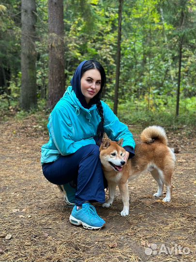 Передержка животных собаки/кошки