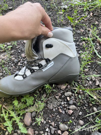 Беговые лыжи fischer