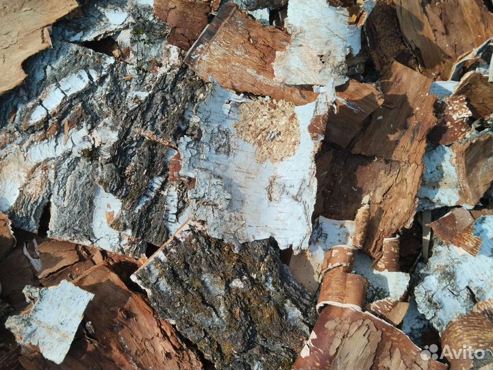 Продам кору