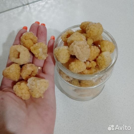 Саженцы жёлтой малины