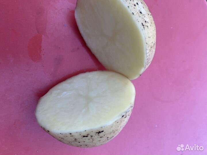 Картофель,морковь,капуста