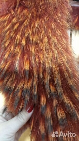 Воротник енот