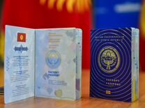 Помощь в получении гражданство Киргизии
