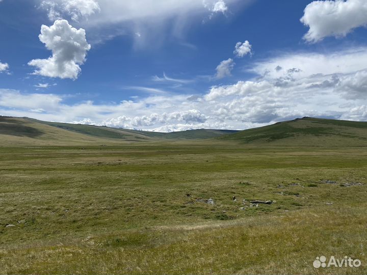 Экскурсии плато Укок