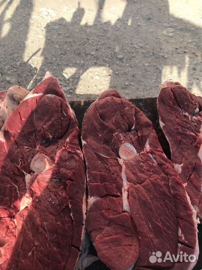 Ботлихская