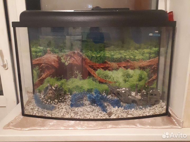 Аквариум
