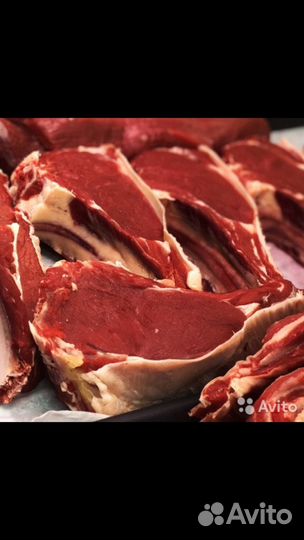 Мясо телятины