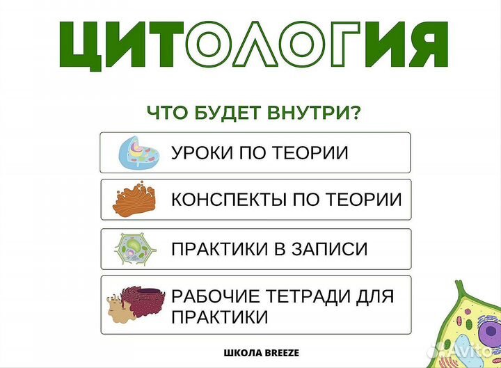 Учебник Алёны Бриз по биологии