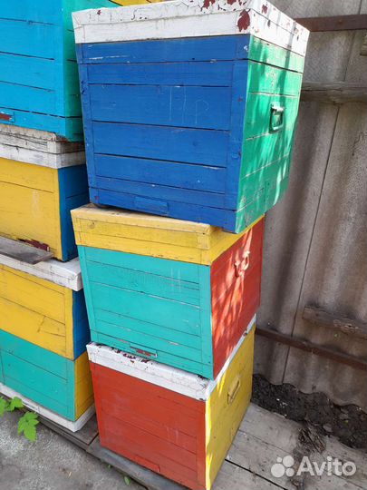 Продам ульи, нуклеусы