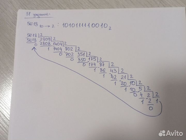 Решу домашнее задание по физике, информатике