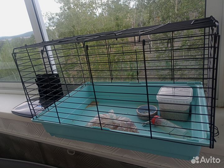 Клетка для грызунов бесплатно