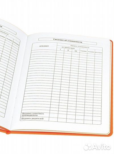 Дневник школьный