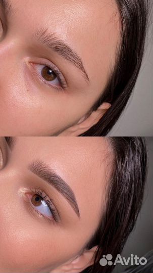 Обучение курс бровист