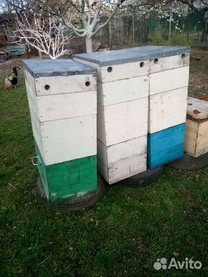 Продам ульи для пчел