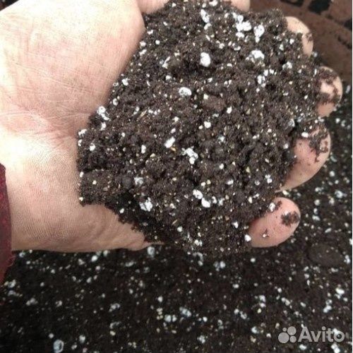 Чернозем, торф, садовая земля