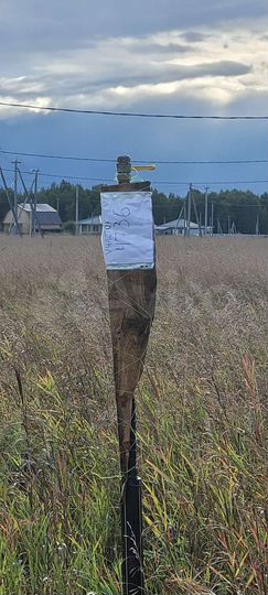 Участок 8 сот. (ИЖС)