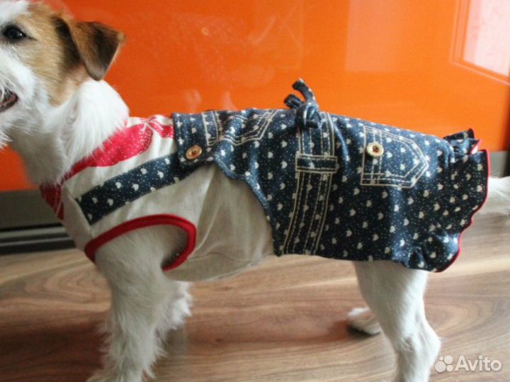 Сарафан для собак. Одежда для собак