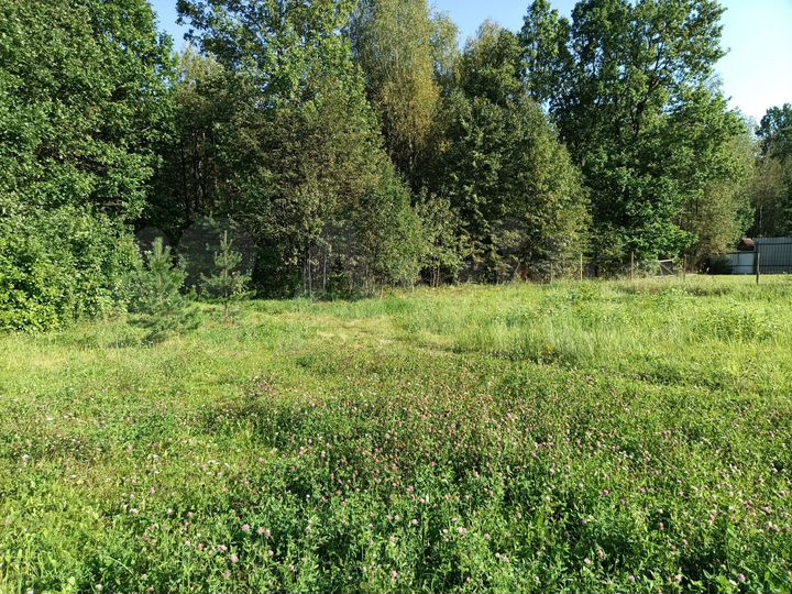 Участок 12 сот. (ИЖС)