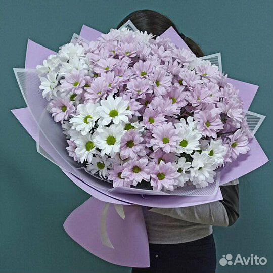 Хризантема Букет Доставка