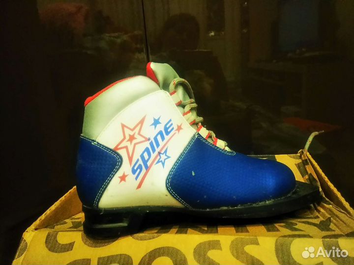 Лыжные ботинки