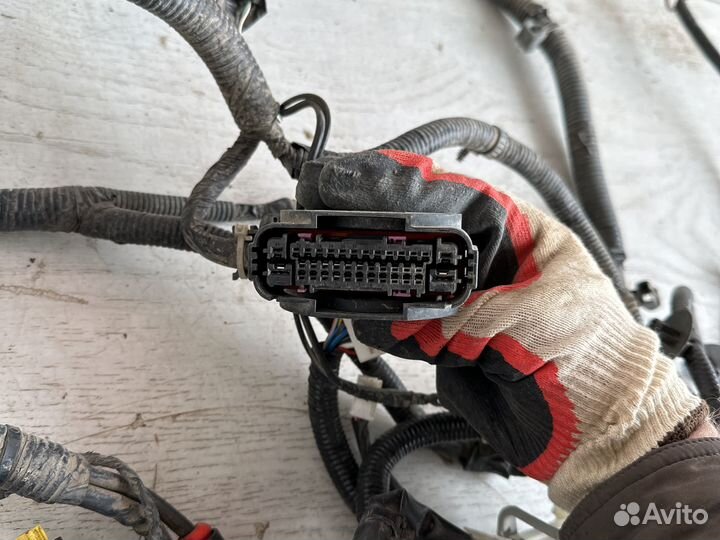 Nissan Teana L33 Проводка моторного отсека