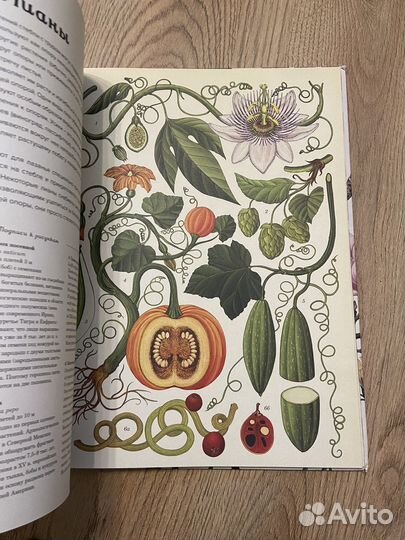 Ботаникум книга