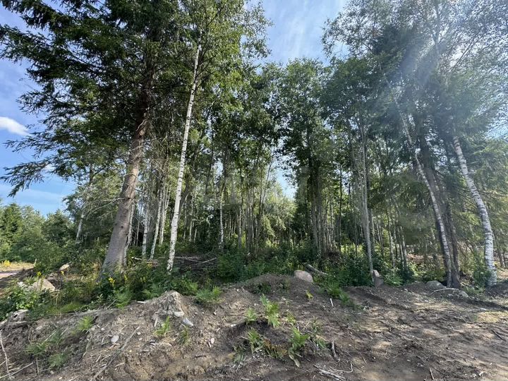 Участок 9,9 сот. (ИЖС)