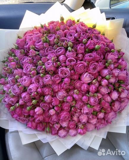 Пионовидная роза