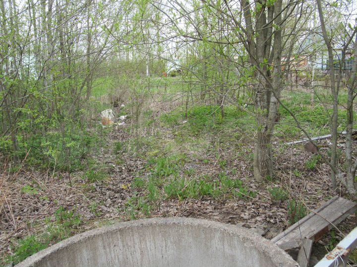 Участок 10,8 сот. (СНТ, ДНП)