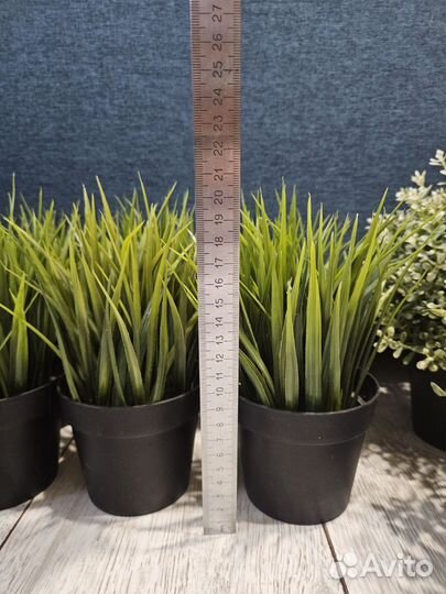 IKEA Фейка, растения из IKEA