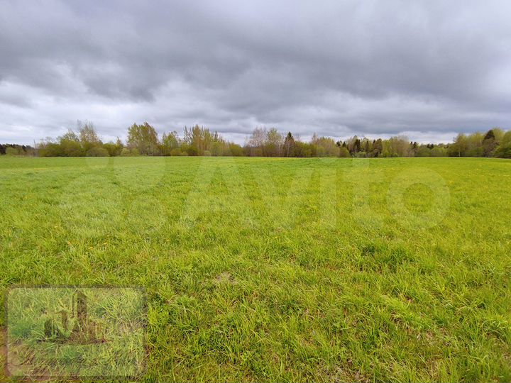 Участок 12 сот. (СНТ, ДНП)